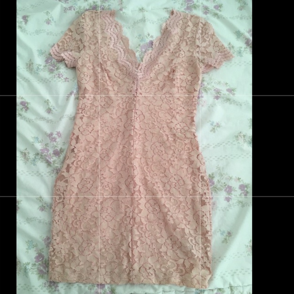 Kimchi Blue Pink Scalloped Lace Bodycon Dress Sz S